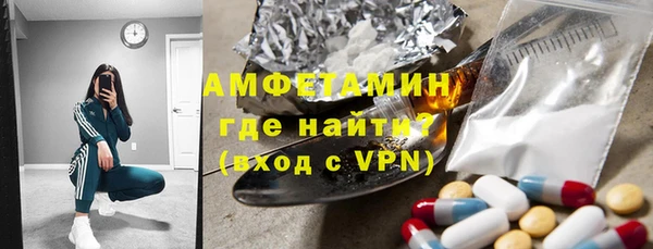 прущие грибы Пересвет